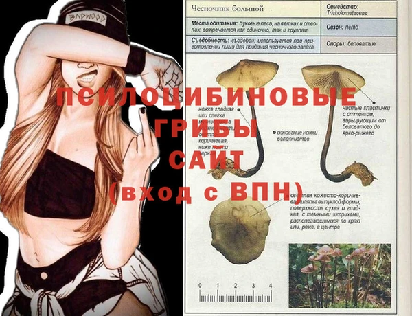 гашик Алзамай