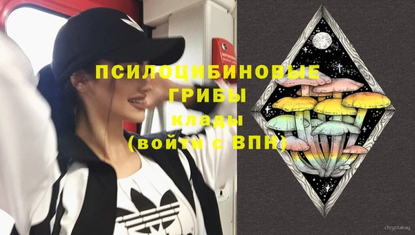 спайс Осташков