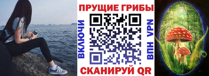 Галлюциногенные грибы ЛСД  Порхов 